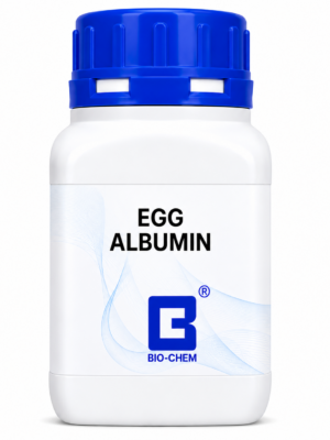 Egg Albumin Powder